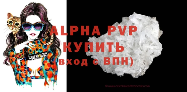крисы Козельск