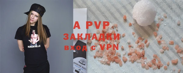 крисы Козельск