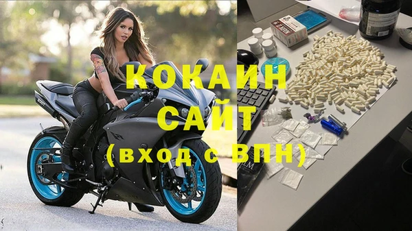 крисы Козельск