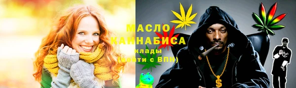 крисы Козельск
