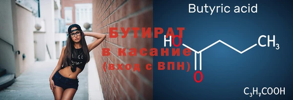 крисы Козельск