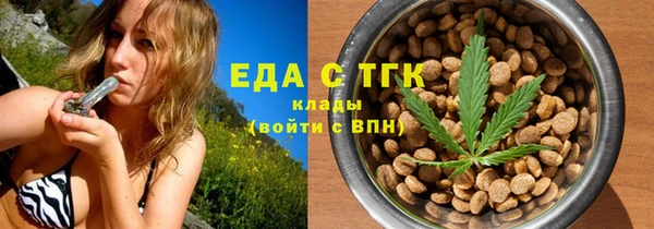 крисы Козельск