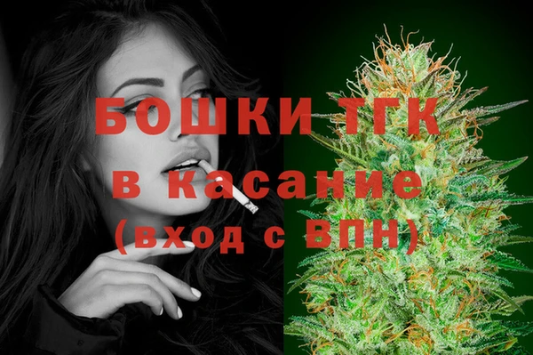 крисы Козельск