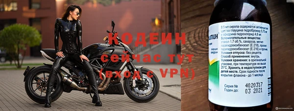 крисы Козельск