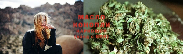 крисы Козельск