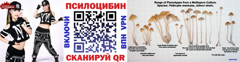 Псилоцибиновые грибы Psilocybe  Купить  Бугуруслан 